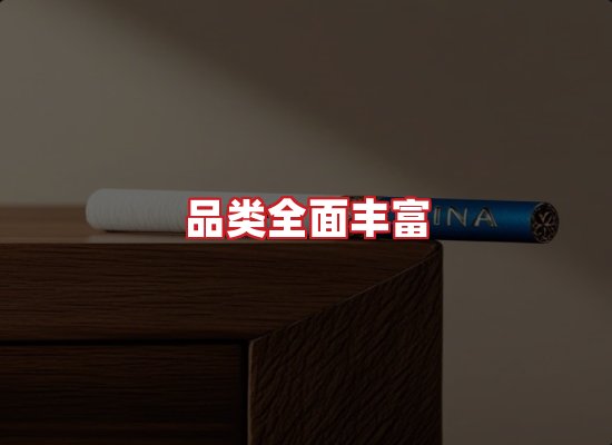 专业团队